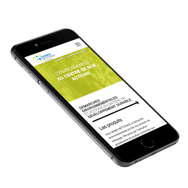 Création du site internet de Saines Nettoyage - Agence web - Label Site Nantes